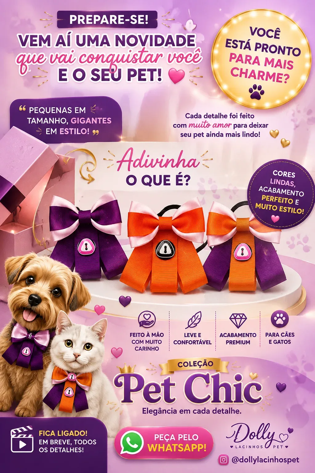 Imagem da publicação de Zenilda Silva